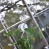 Pro Plant Support Kit for Greenhouse