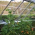Pro Plant Support Kit for Greenhouse
