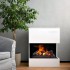 Kästner freestanding fireplace with Opti-Myst water vapour flames