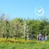 Plant a Tree with Growing Trees Network!