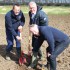 Plant a Tree with Growing Trees Network!
