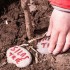 Plant a Tree with Growing Trees Network!